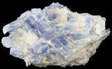Kyanite Crystal Cluster with Quartz - Brazil #45000-1